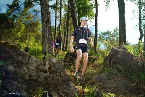 BIB: 5031
                            <button type="button" onclick="openModal(18934403)" class="btn btn-primary btn-sm float-right btn-popup" data-toggle="modal" data-target=".modal-high-quality">
                        <i class="fas fa-shopping-cart"></i> Add to Cart
                    </button>
                                            <button type="button" onclick="isThisMe(18934403, true)" class="btn btn-success btn-sm float-right btn-popup btn-isme hidden" data-toggle="tooltip" data-placement="bottom" title="นี่คือรูปของคุณใช่ไหม คลิกที่นี่เพื่อเอาเข้าอัลบั้ม">
                        <i class="fas fa-plus"></i> Add to album
                    </button>
                    <button type="button" onclick="isThisMe(18934403, false)" class="btn btn-warning btn-sm float-right btn-popup btn-isnotme hidden">
                        <i class="fas fa-ban"></i> Remove from album
                    </button>